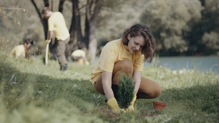 Best Root Management and Removal  in Mount Vernon, TX